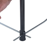 גגון עטלף קרנף - משמאל