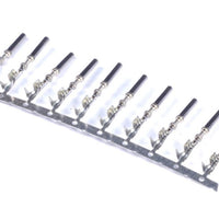 Haltech ECU Pins AMP Superseal - חבילה של 10