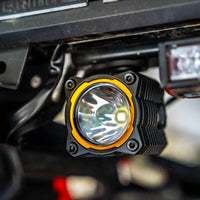 KC HiLiTES FLEX ERA 1 (טבעת מסגרת בודדת) - זהב