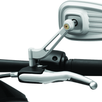 קוריאקין דילינג'ר מראות כסף