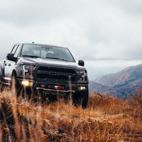 BuiltRight Industries 17-19 פורד רפטור אנטנה סתומה בהתאמה מושלמת