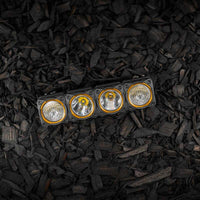 KC HiLiTES FLEX ERA LED Light Bar Bezel Kit עבור 10 אינץ'. פלחים - זהב