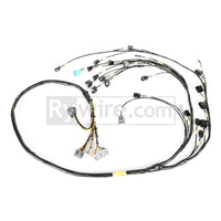 Rywire Honda K24 Mil-Spec רתמה עם K24 חיישן נקישה/ארכובה (D/S בלבד / הערה למזרקים/VSS על PO)
