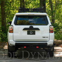 Diode Dynamics 10-21 Toyota 4Runner Stage Series רתמת חיווט אור הפוך