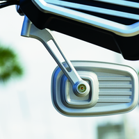 קוריאקין דילינג'ר מראות כסף