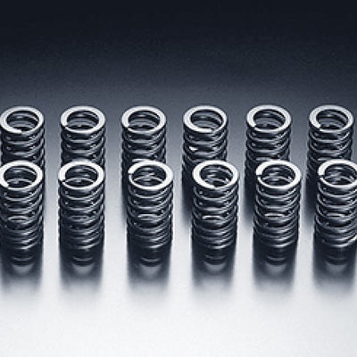 HKS 85-91 טויוטה קורולה GTS / 85-89 MR2 קפיצי שסתומים