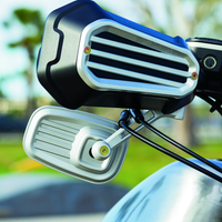 קוריאקין דילינג'ר מראות כסף