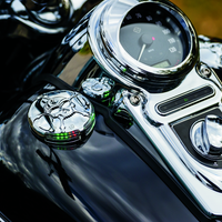 מד דלק וסוללה קוריאקין זומבי כרום