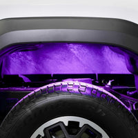 ערכת התקנת אורות רוק Diode Dyanmics RGBW (חבילה של 4)