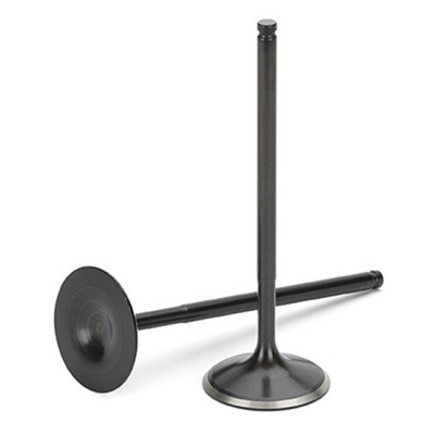 Supertech Subaru EJ25 Black Nitride Valve – סט של 8