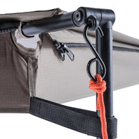 גגון עטלף קרנף - משמאל