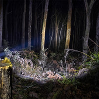 פנס ARB Pureview 800 פנס 800 לומן