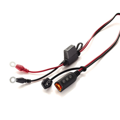 CTEK אביזר - Comfort Indicator Eyelet M6