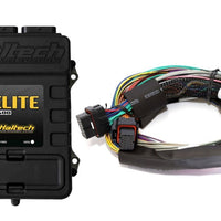 ערכת ECU לרתום חוטי אוניברסלי של Haltech Elite 2500 Basic
