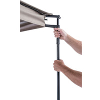 גגון עטלף קרנף - מימין