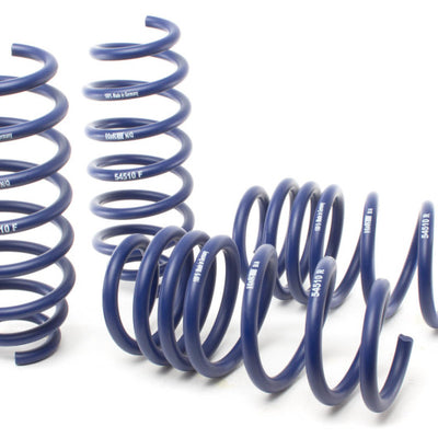 H&amp;R 17-19 טסלה דגם 3 לטווח ארוך (RWD) קפיץ ספורט (ללא סיפונה אוויר)