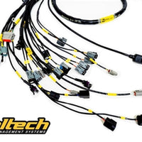 Rywire Honda K-Series (עם Haltech Elite 1500+) Eng Harn w/OBD2 Alt/EV14 Inj/AEM IAT/MAP (Req מתאם)
