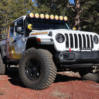 KC HiLiTES 6 אינץ'. כריכה עגולה רכה (זוג) - שחור עם לוגו KC צהוב