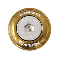 ערכת כביסה של פגוש NRG עם מסמרות לפלסטיק (טיטניום) - סט של 10