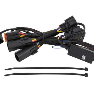 רתמת הר תקיעה ל-Diode Dynamics C1R לסיירה 2019-2023