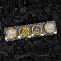 KC HiLiTES FLEX ERA LED בר 10 אינץ'. מגן אור - שקוף (מגן בלבד)