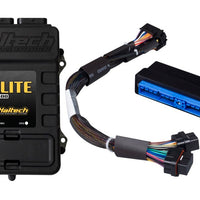 ערכת ECU מתאם Haltech Elite 2500