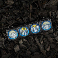 KC HiLiTES FLEX ERA LED Light Bar Bezel Kit עבור 10 אינץ'. פלחים - כחול