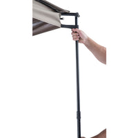 גגון עטלף קרנף - משמאל