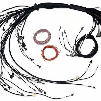 רתמת Haltech NEXUS R5 LSx ללא DBW