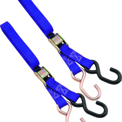 BikeMaster 1in Tiedown - סגול