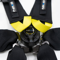 NRG FIA 6pt 2in. חגורת כתף עבור מכשיר HANS / אבזם נעילת מצלמת רוטרי / 3 אינץ'. חגורת מותן - שחורה