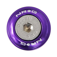 ערכת כביסה של פגוש NRG עם מסמרות לפלסטיק (סגול) - סט של 10