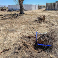 Superwinch 4000 LBS 12V DC 3/16in x 50ft חבל סינטטי Winch2Go